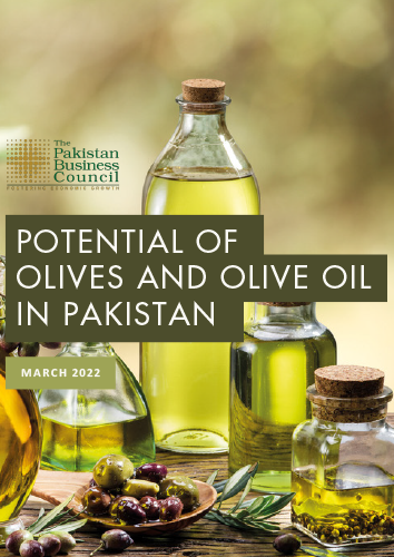 Potential of Olives And Olive Oil In Pakistan
